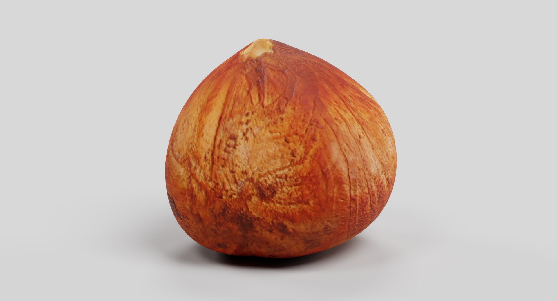 3D hazelnut corylus colurna https://p.turbosquid.com/ts-thumb/c6/87ZQf6/tNXWBRtB/hazelnutc/png/1518259577/1920x1080/fit_q87/c27ac292a775ae8f1df0d7e640ff5df404c832c3/hazelnutc.jpg