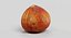3D hazelnut corylus colurna
