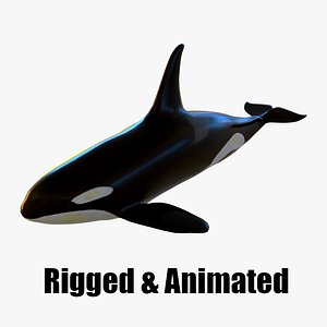 killer whale 3D model