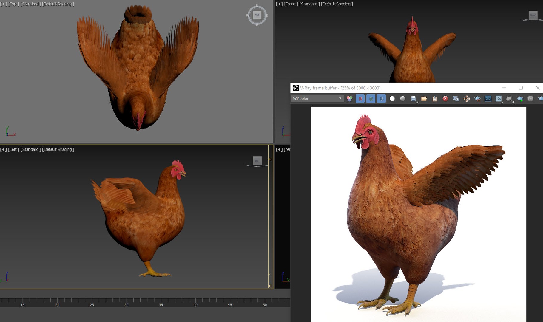 3D Chicken Body Static - TurboSquid 1910121