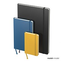 Moleskine notebooks