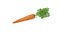 Fruits and Vegetables Collection