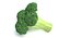 Fruits and Vegetables Collection