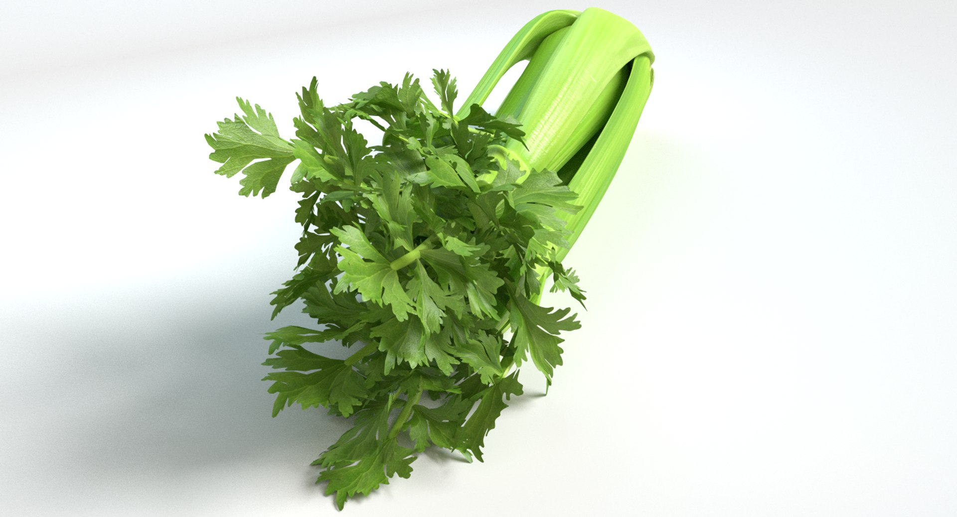 3d fruits vegetables https://p.turbosquid.com/ts-thumb/c6/bB6R78/iylvU8i9/thumbnail3/png/1433955831/1920x1080/fit_q87/6637ea84695492bcade6cf109daf2275dbc68cf0/thumbnail3.jpg