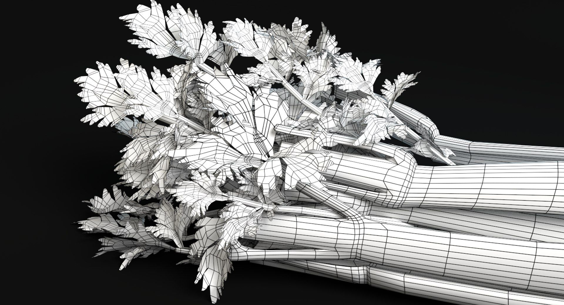 3d fruits vegetables https://p.turbosquid.com/ts-thumb/c6/bB6R78/ty9TVLB9/wireframe2/png/1433955831/1920x1080/fit_q87/8f29203be4c3632cf694fcf1a5e222af9ecd7da5/wireframe2.jpg