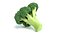 Fruits and Vegetables Collection
