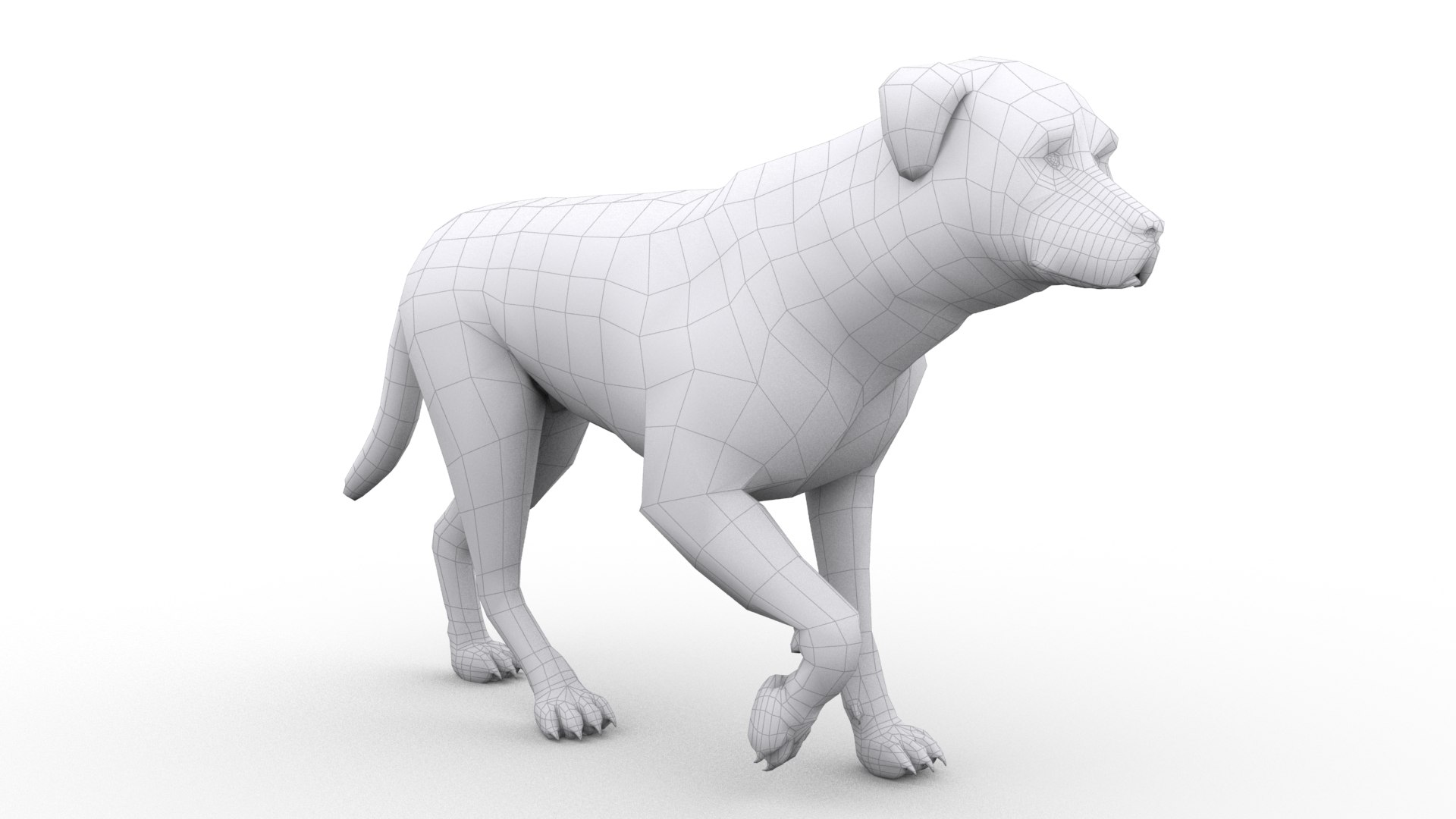 rottweiler animations 3d max https://p.turbosquid.com/ts-thumb/c6/bTwMu5/9CQy9GEt/scene001_oclusion/jpg/1483298619/1920x1080/fit_q87/02494d3d545ac4a1deeb4baad53bb4cc579f26fc/scene001_oclusion.jpg