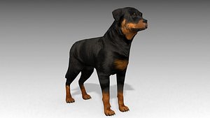 max timber wolf animations