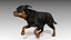 Rottweiler animato