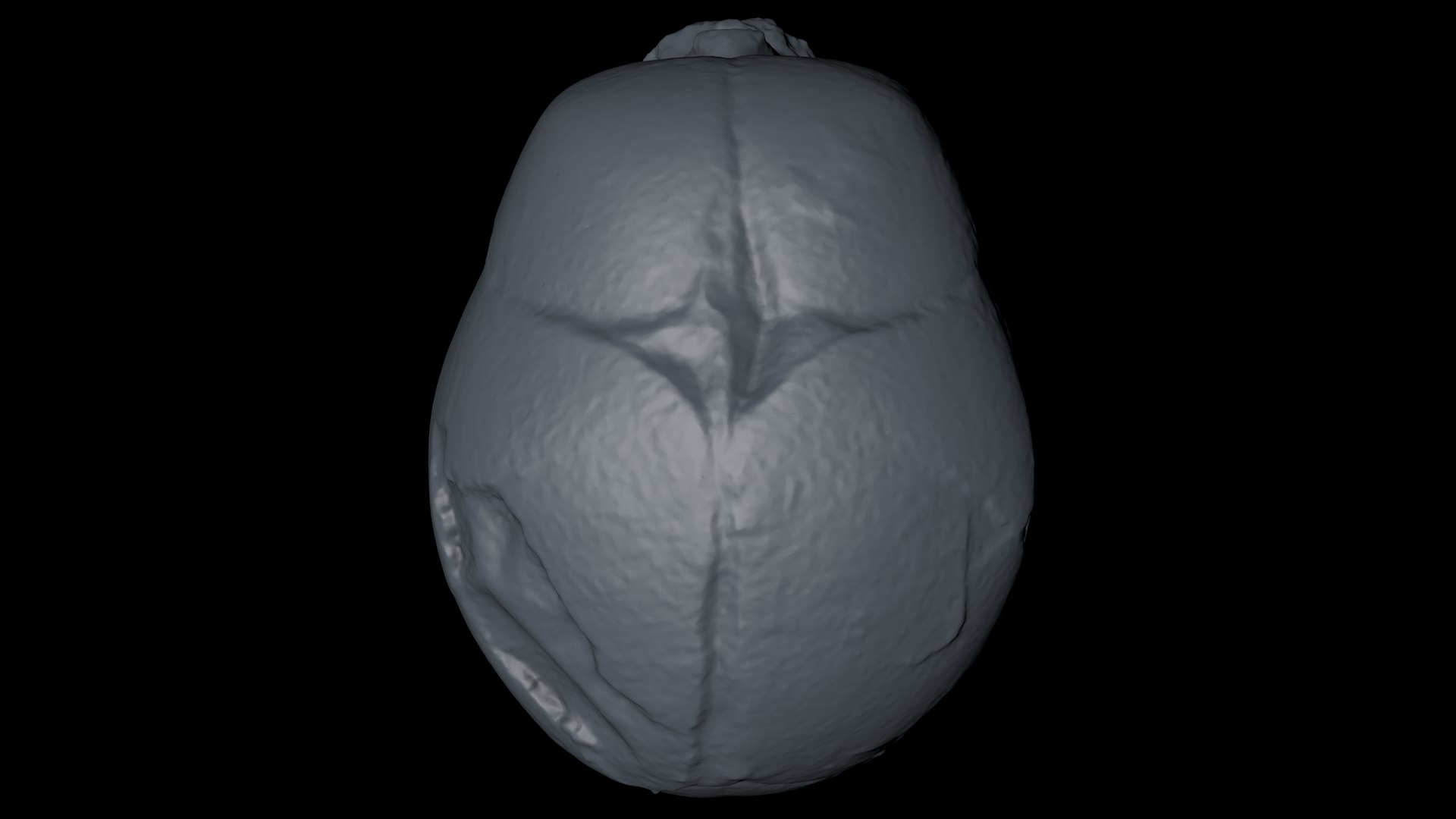 3d skull fetus model https://p.turbosquid.com/ts-thumb/c6/dEhT1T/7m/renderzzoo0004/png/1649597877/1920x1080/fit_q87/3e79978abc1334a750f17de6a35782dfe7ddab9a/renderzzoo0004.jpg