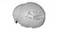 Fetus Skull Scan