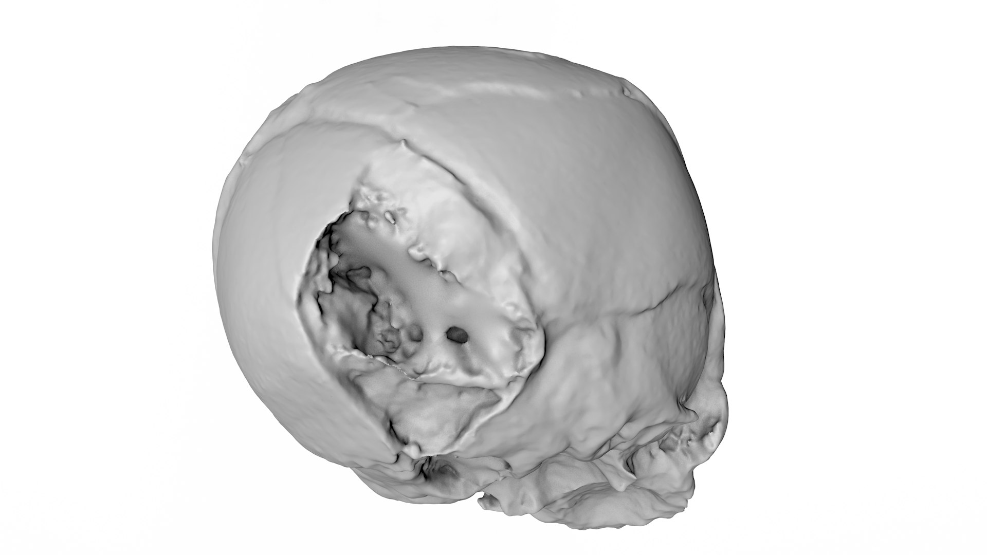 3d skull fetus model https://p.turbosquid.com/ts-thumb/c6/dEhT1T/OF/rendermesh0005/png/1649597874/1920x1080/fit_q87/3b5b6d9752e254dc43cccefc2a9406b0752d9ad5/rendermesh0005.jpg