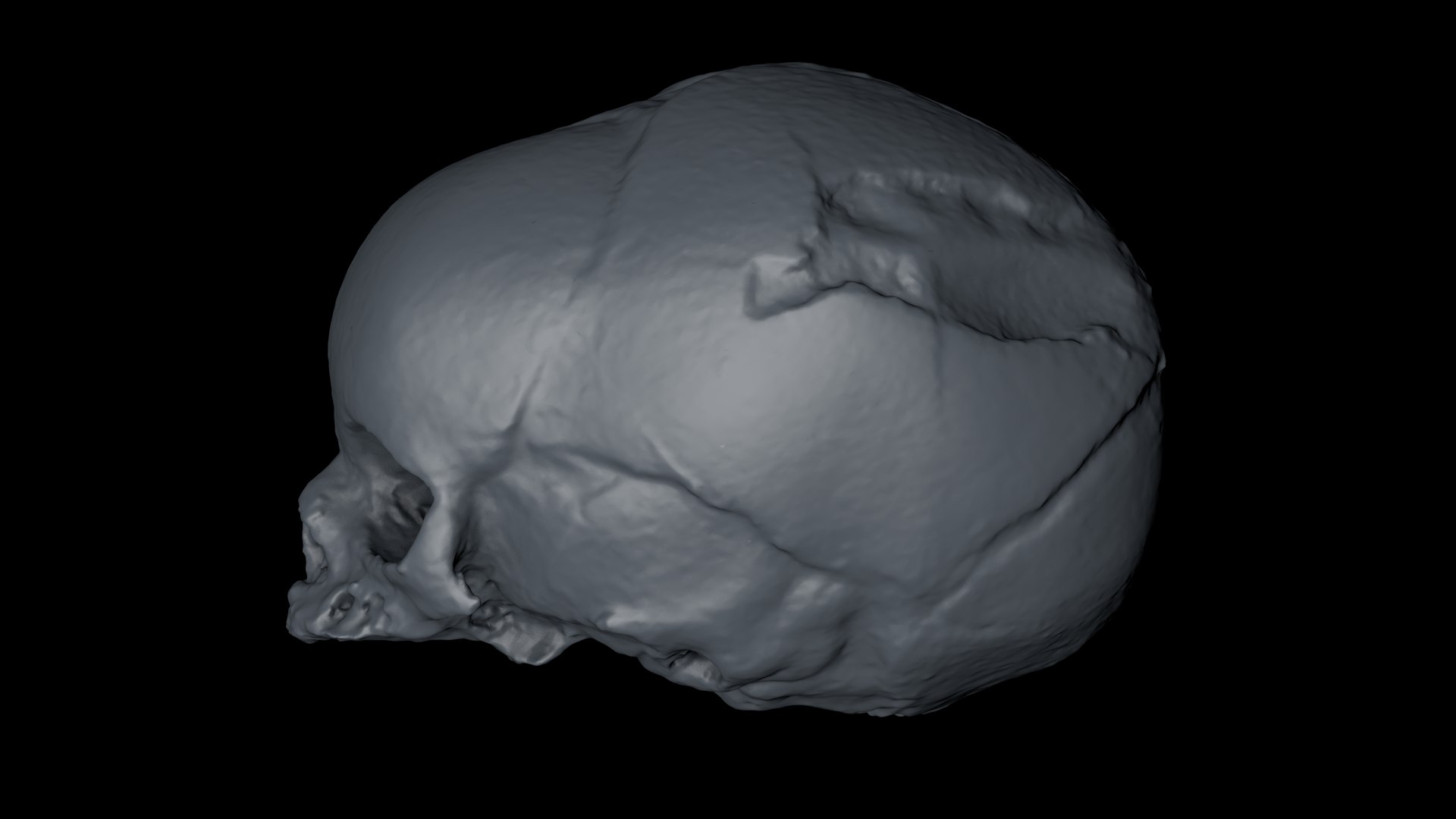 3d skull fetus model https://p.turbosquid.com/ts-thumb/c6/dEhT1T/ad/renderzzoo0003/png/1649597882/1920x1080/fit_q87/fd8721d4712560b9517cbd5d6148a8fda522bf3f/renderzzoo0003.jpg
