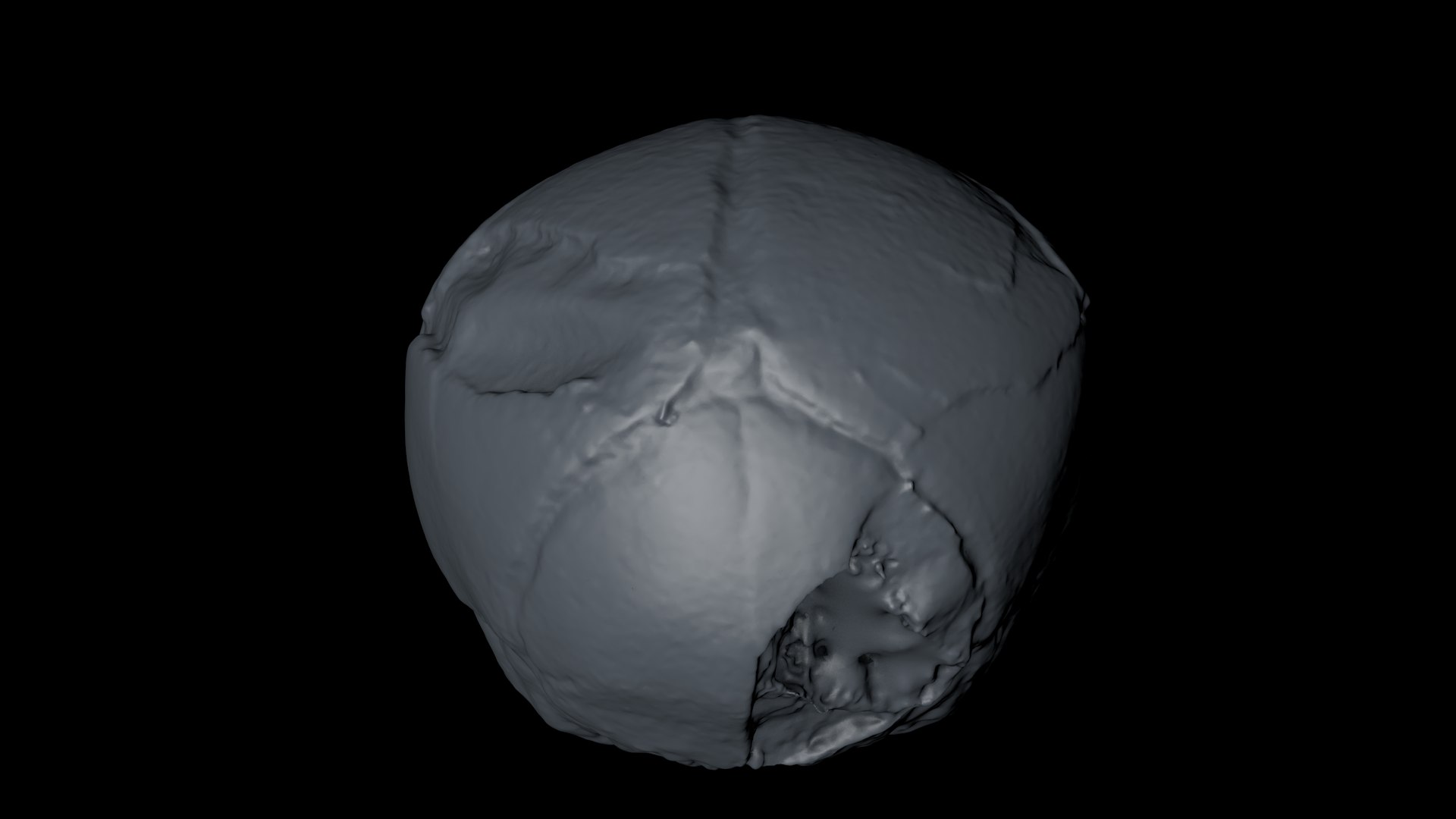 3d skull fetus model https://p.turbosquid.com/ts-thumb/c6/dEhT1T/c5/renderzzoo0001/png/1649597876/1920x1080/fit_q87/316a7cc014888c2fbd4f5777f6b469ede9abadad/renderzzoo0001.jpg
