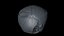 Fetus Skull Scan
