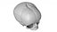 Fetus Skull Scan