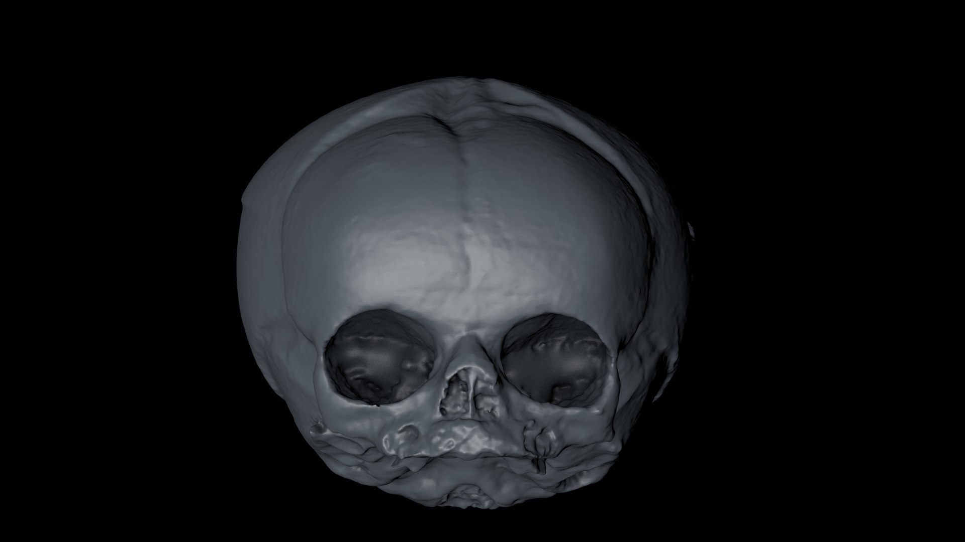 3d skull fetus model https://p.turbosquid.com/ts-thumb/c6/dEhT1T/uz/renderzzoo0000/png/1649597867/1920x1080/fit_q87/7ddd0a1675b47a84afdeab21defd70c756391c9f/renderzzoo0000.jpg