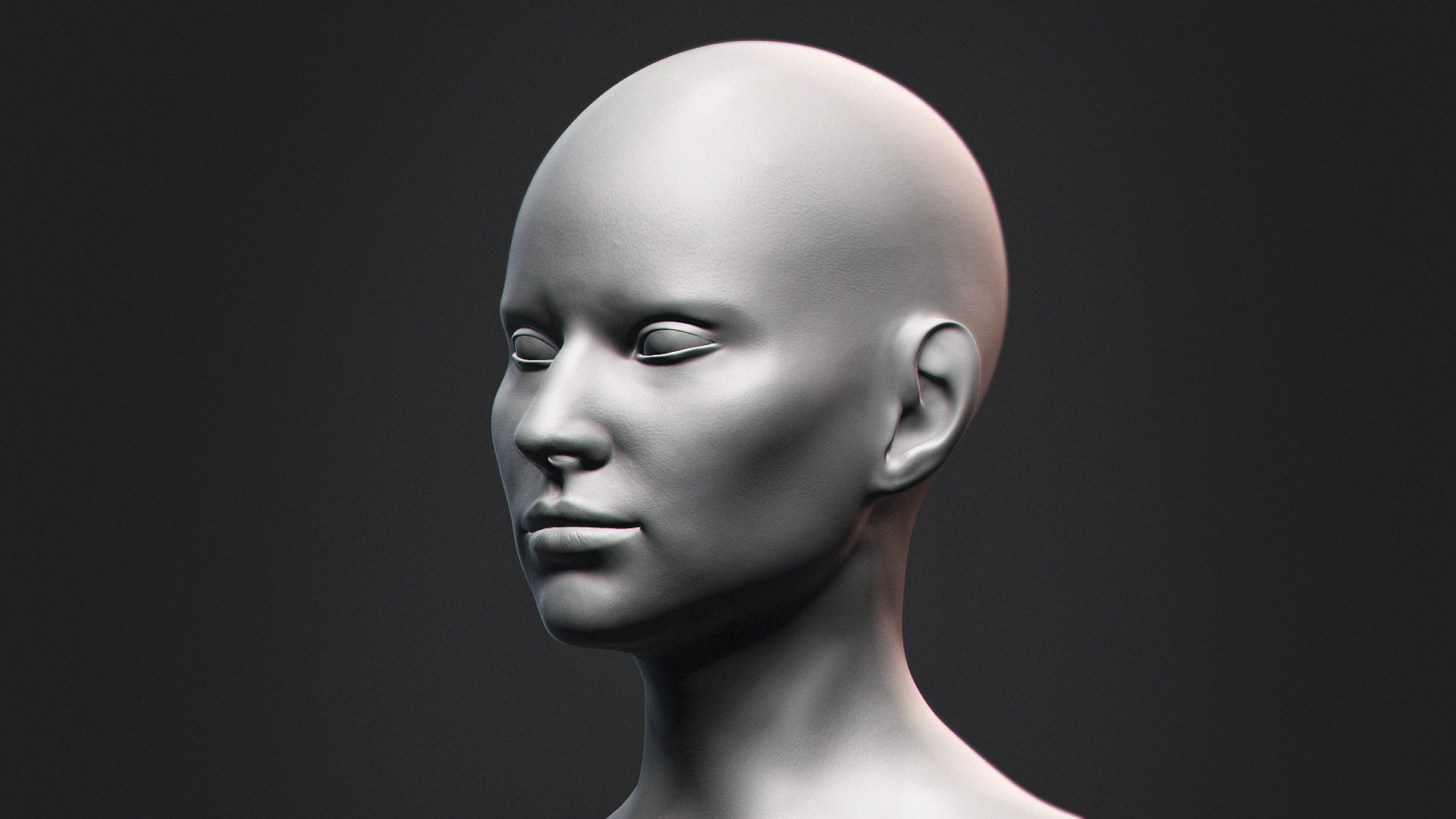 3D Model Bust Female Heads Collection - TurboSquid 1952871