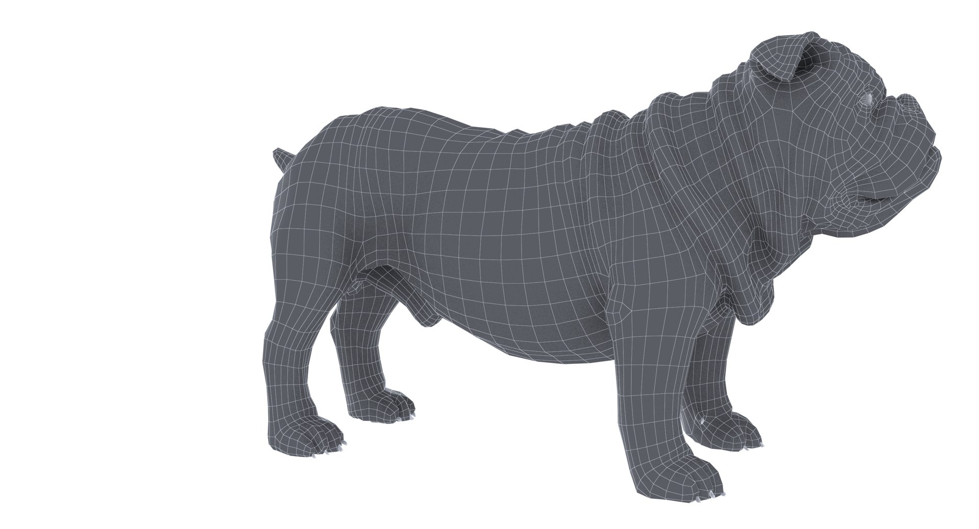 bulldog ornatrix ephere 3D https://p.turbosquid.com/ts-thumb/c6/evVQhD/W0zOEVqZ/w_010005/jpg/1549393047/1920x1080/fit_q87/659c8909d4e980b7253ba8d245bc47d36d7760c0/w_010005.jpg