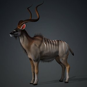 Kudu 3D