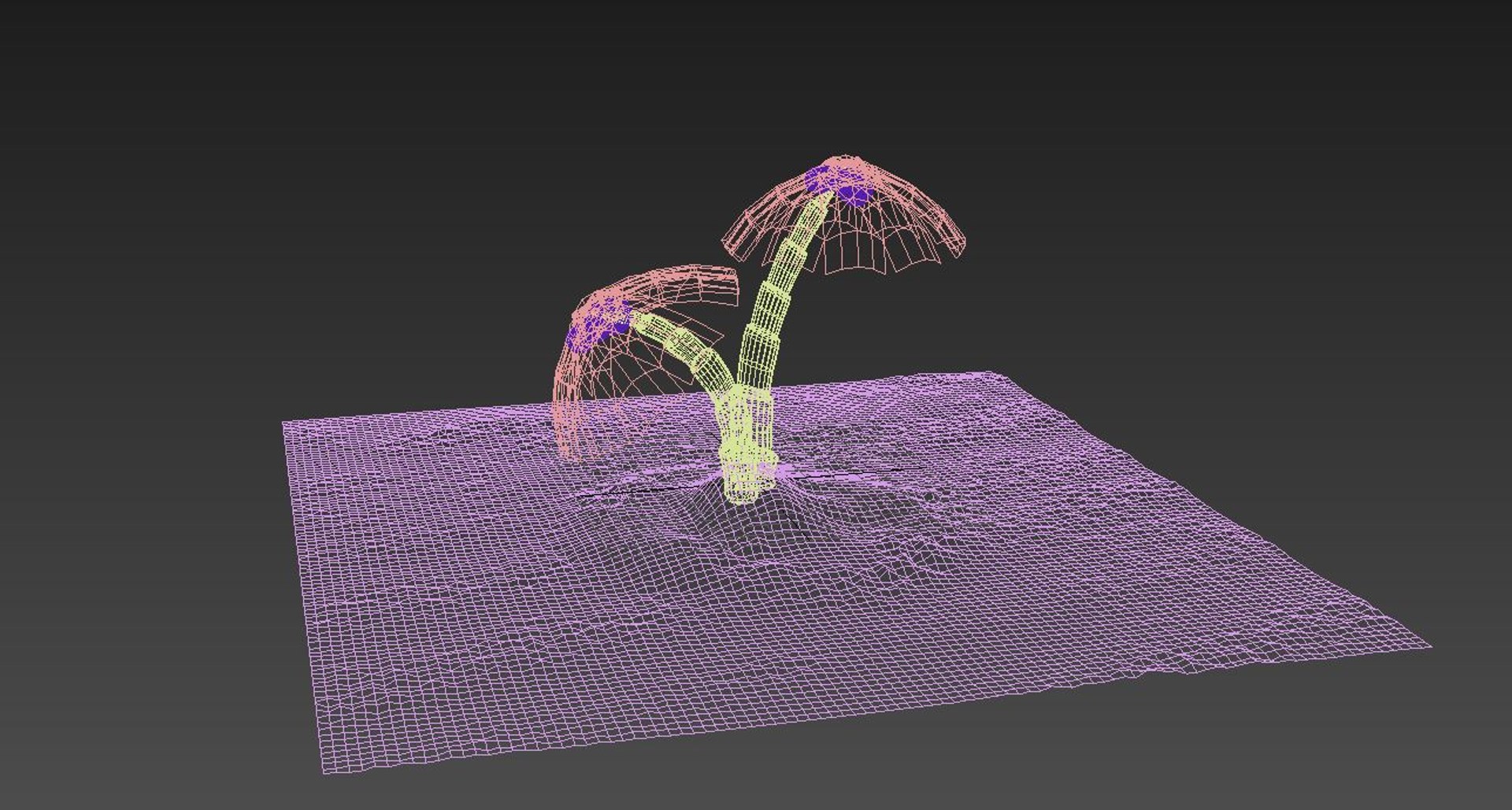 Tree Plam 3d Model