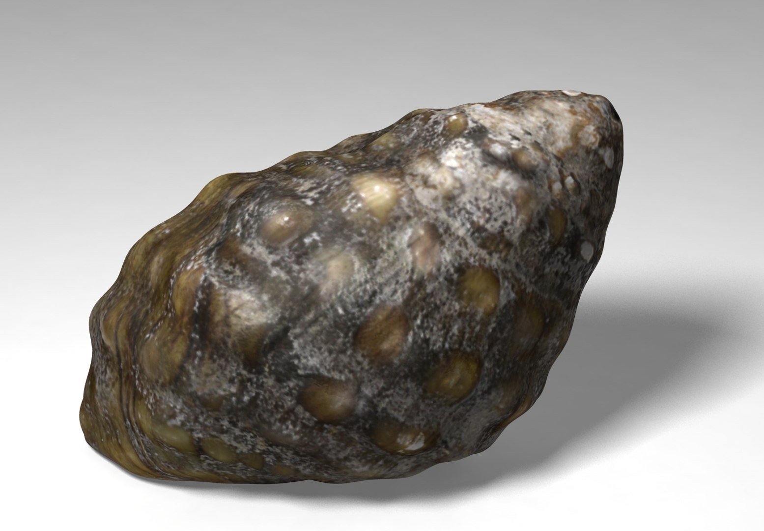 marsh snail 3D https://p.turbosquid.com/ts-thumb/c6/o7kGjz/9R7PdWWu/marshsnail_04/jpg/1515309708/1920x1080/fit_q87/3f7115a3465a72c1ced4d001d420582daff03261/marshsnail_04.jpg