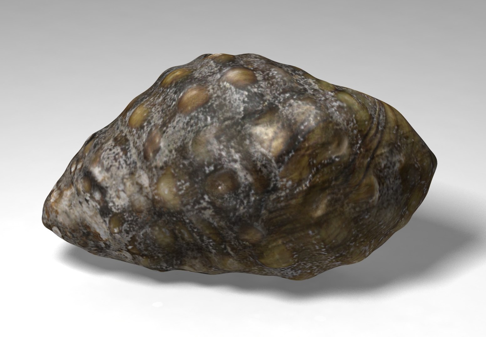 marsh snail 3D https://p.turbosquid.com/ts-thumb/c6/o7kGjz/dolIWMs4/marshsnail_02/jpg/1515309645/1920x1080/fit_q87/b2651ea320baaf80a3af91a95496294c70ad9e74/marshsnail_02.jpg