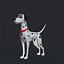 Dalmation