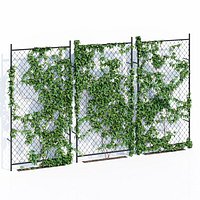 Ivy wall two