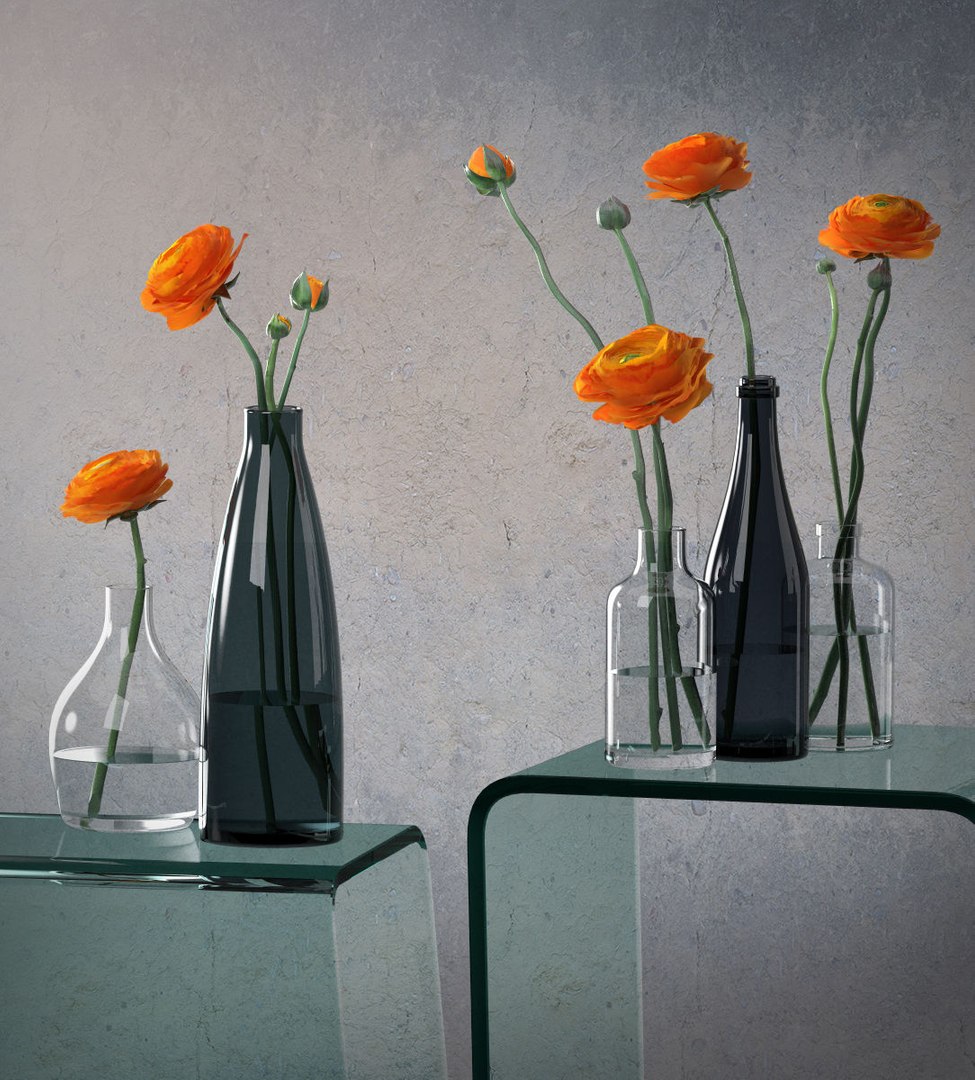 ranunculus bottles 3D model https://p.turbosquid.com/ts-thumb/c6/ptT4dm/GqyEX2Xo/smallaccents_ranunculus02/jpg/1511191665/1920x1080/fit_q87/1b70108999c230397faaf2683a535ca1830422bb/smallaccents_ranunculus02.jpg