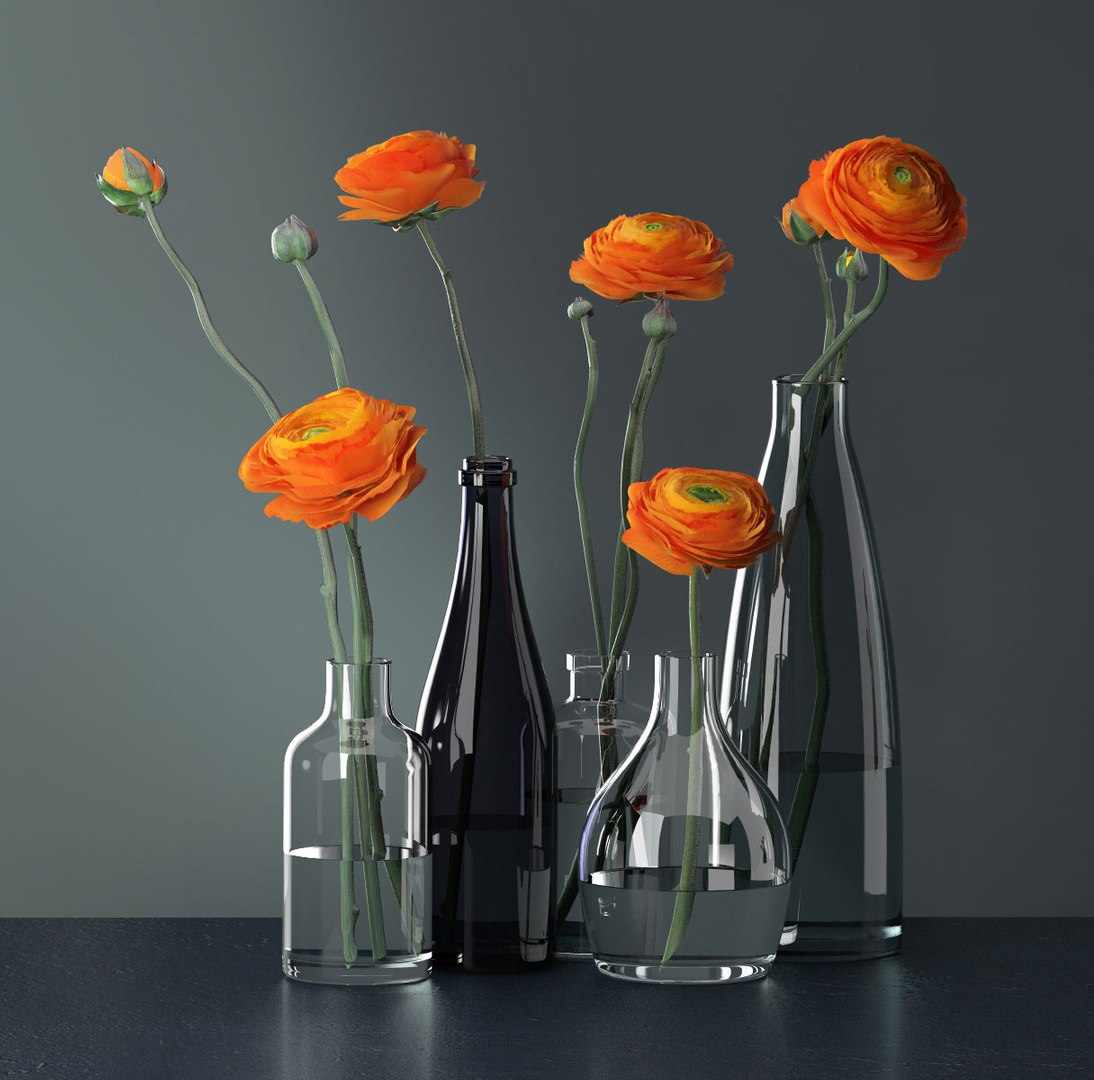 ranunculus bottles 3D model https://p.turbosquid.com/ts-thumb/c6/ptT4dm/hE5WkY4u/smallaccents_ranunculus20in20bottles_rend_01/jpg/1511191672/1920x1080/fit_q87/180d30bde0ec6032b29fad4cd59c2a9bfb14acec/smallaccents_ranunculus20in20bottles_rend_01.jpg