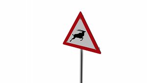 reno animal 3D model