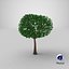 Cartoon Tree Small 08 3D model