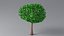 Cartoon Tree Small 08 3D model
