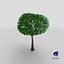 Cartoon Tree Small 08 3D model