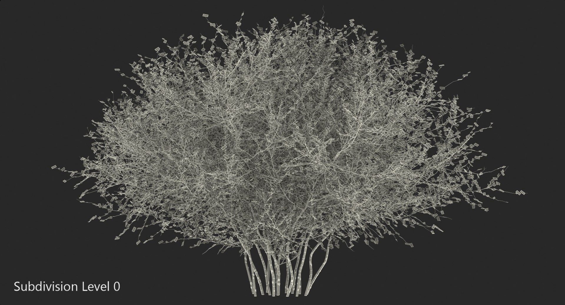 3D Kolkwitzia Amabilis Bush - TurboSquid 1395828