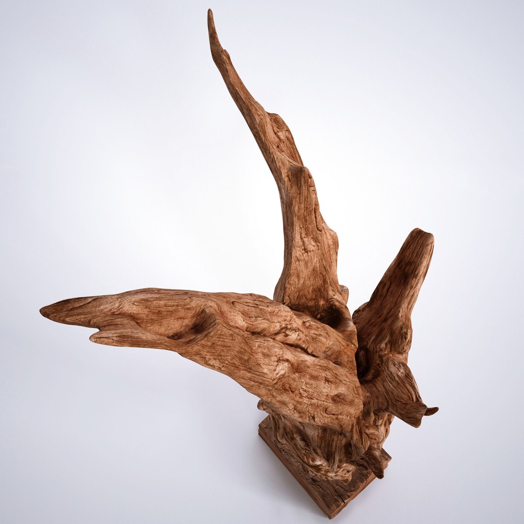 3D kazu large dragon tree https://p.turbosquid.com/ts-thumb/c7/GTYyet/jaYhPcGk/kazulargedragontreeroot_04/jpg/1511213753/1920x1080/fit_q87/85a2b12f6d1f9b1666e0ee48f97eca01f50c6171/kazulargedragontreeroot_04.jpg