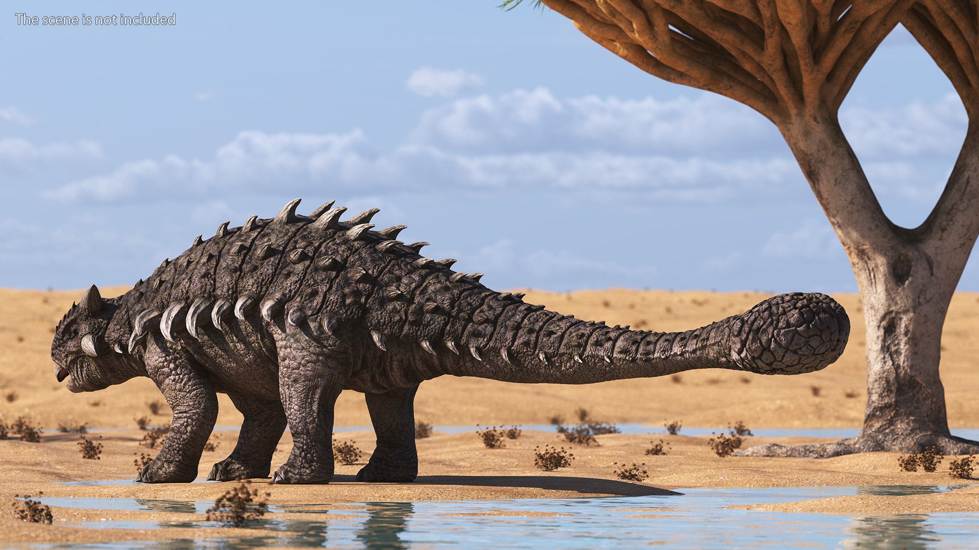 3D Ankylosaurus from Desert Habitats Rigged model TurboSquid 2174315