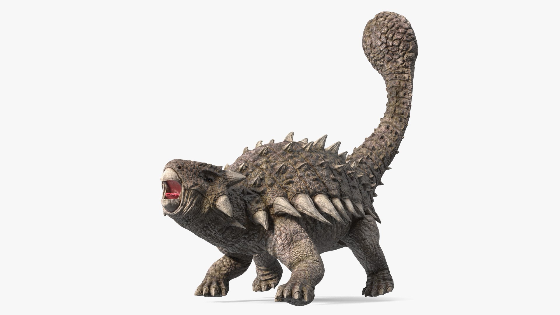 Checheniston va Dogistondan havaskor xususiy porno video