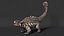 3D Ankylosaurus from Desert Habitats Rigged model