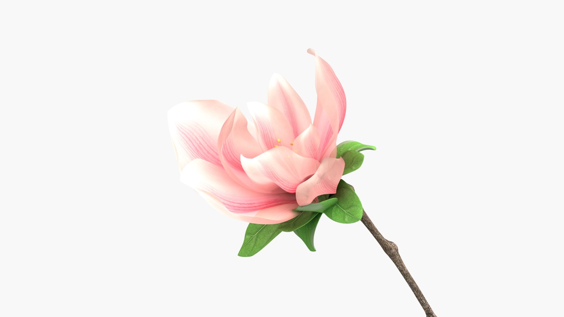 flower bloom blossom 3D model https://p.turbosquid.com/ts-thumb/c7/H5OBqb/9n/ylxl_0003/jpg/1608601967/1920x1080/fit_q87/5d54fceb75266d5ff44ab6bcfeb4d74162569375/ylxl_0003.jpg
