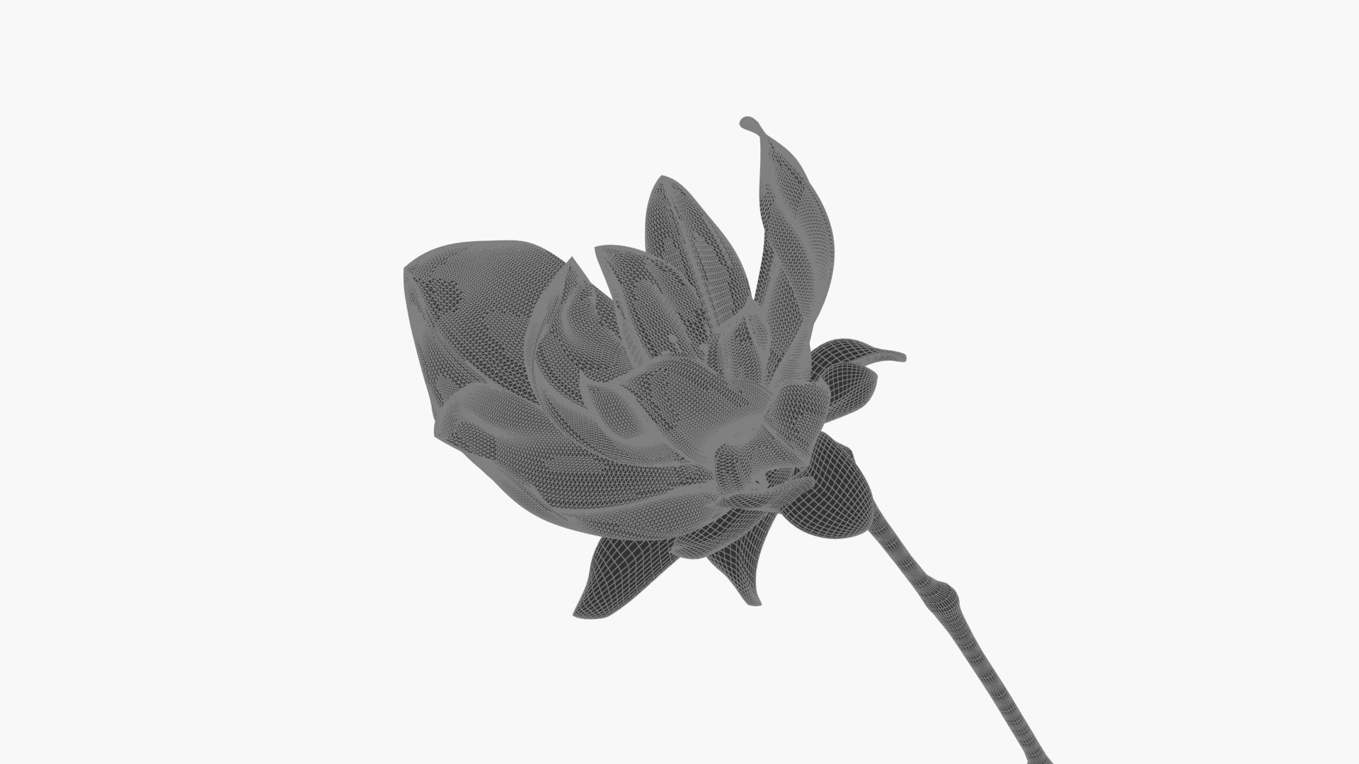 flower bloom blossom 3D model https://p.turbosquid.com/ts-thumb/c7/H5OBqb/A6/ylxk_0015/jpg/1608601974/1920x1080/fit_q87/7eed5145c8d258577e48b70d28c7b68bfc68ca24/ylxk_0015.jpg