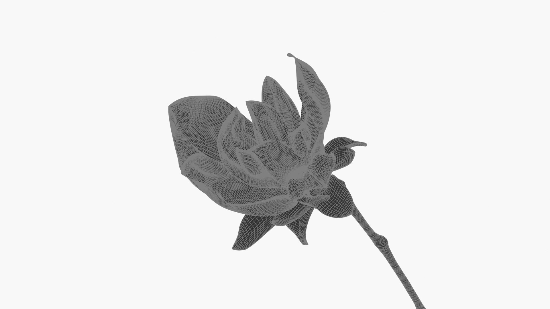 flower bloom blossom 3D model https://p.turbosquid.com/ts-thumb/c7/H5OBqb/Pu/ylxk_0000/jpg/1608601974/1920x1080/fit_q87/a103d38a12cb70b1b9270d6de33da93237bdafe4/ylxk_0000.jpg