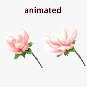 flower bloom blossom 3D model