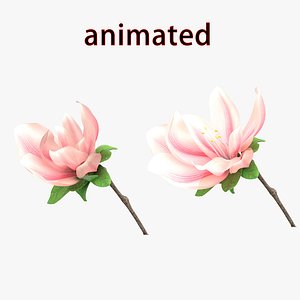 yulan flower bloom blossom