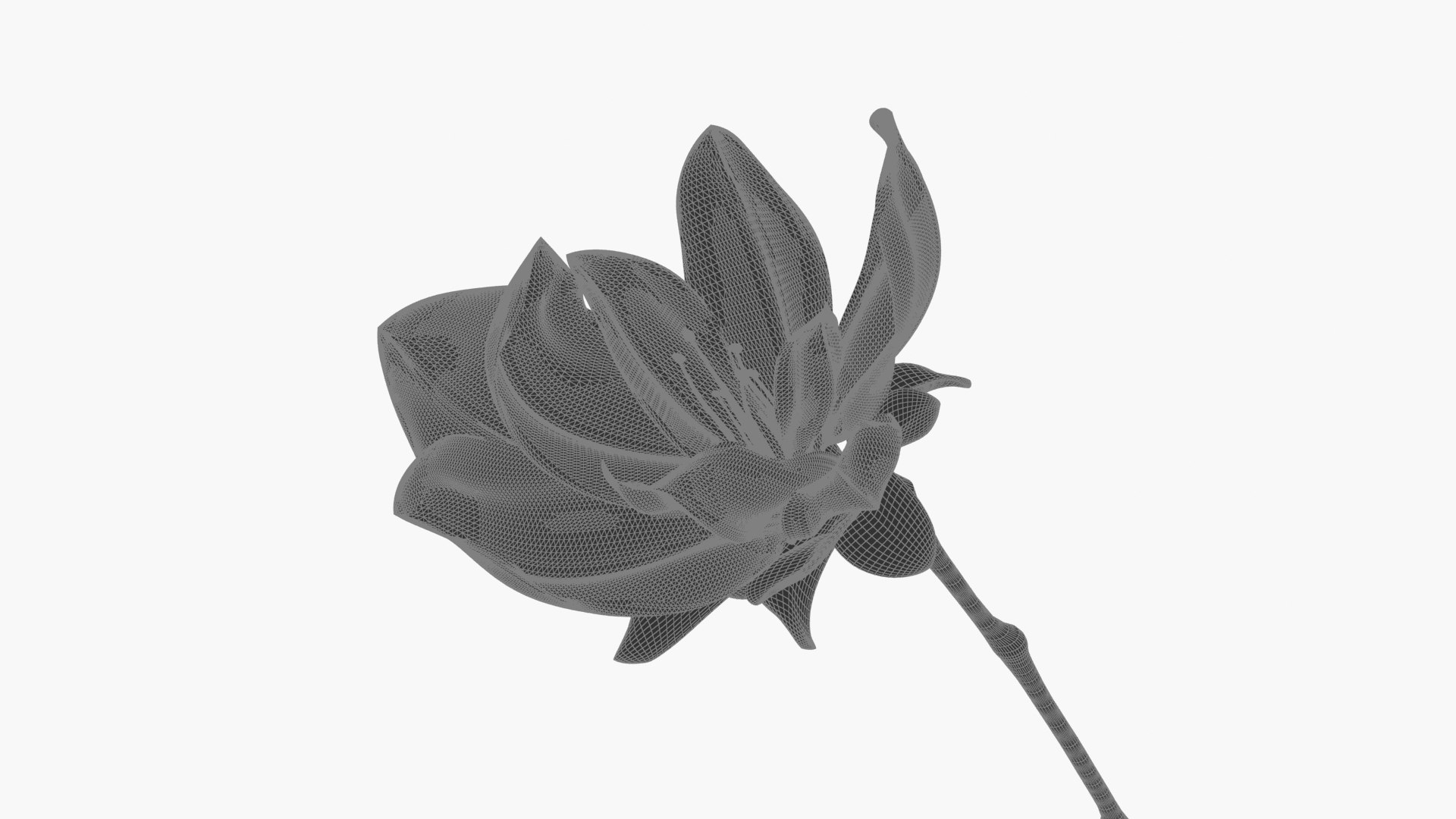 flower bloom blossom 3D model https://p.turbosquid.com/ts-thumb/c7/H5OBqb/tw/ylxk_0045/jpg/1608601976/1920x1080/fit_q87/05f4129a4ca9257c6c42c3871e69509c47292478/ylxk_0045.jpg