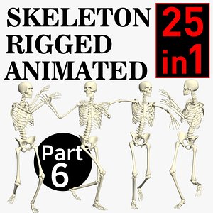 3D Skeleton Rigged 3D Animations Set 6 - 25 in 1 model