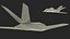 3D Stealth F-117 Nighthawk with Pilot in Flight model