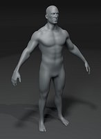 Male Body Base Mesh 28 Animations 10k Polygons