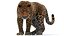 Leopardo animado (piel)